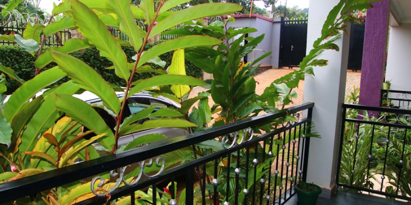 Furnished apartments for rent in seguku, Kampala